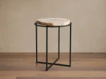 Petrified Side Table