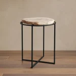 Petrified Side Table