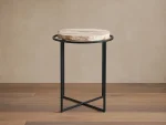 Petrified Side Table - Image 3