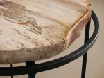 Petrified Side Table - Image 5