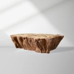 Clayhill Irregular Shape Coffee Table Petrified Wood Cocktail Table Unique Sofa Center Tea Table - Image 4