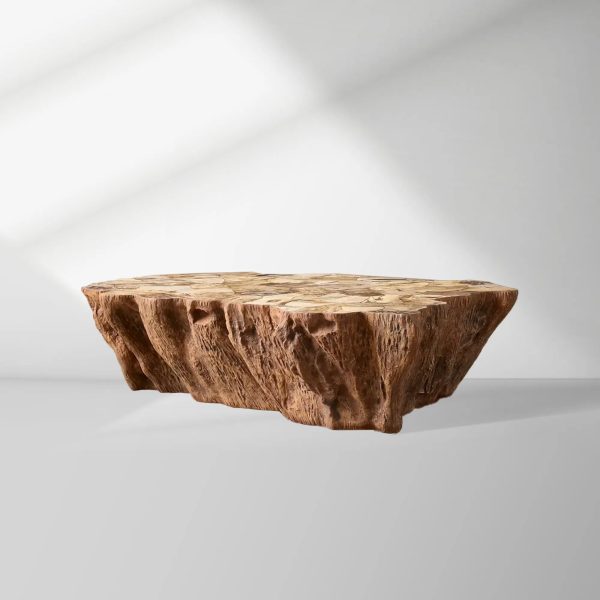 Clayhill Irregular Shape Coffee Table Petrified Wood Cocktail Table Unique Sofa Center Tea Table - Image 4