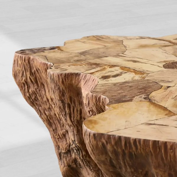 Clayhill Irregular Shape Coffee Table Petrified Wood Cocktail Table Unique Sofa Center Tea Table - Image 5