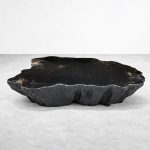 Clayhill Irregular Shape Coffee Table Petrified Wood Cocktail Table Unique Sofa Center Tea Table - Image 7