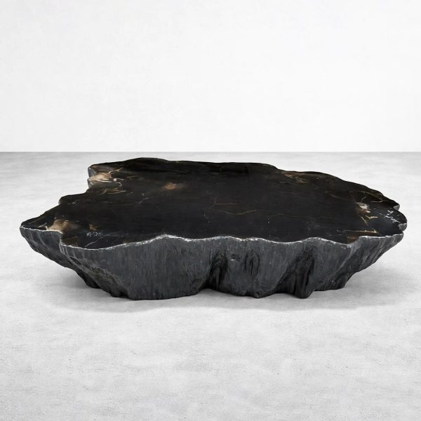 Clayhill Irregular Shape Coffee Table Petrified Wood Cocktail Table Unique Sofa Center Tea Table - Image 7