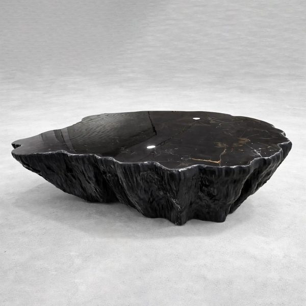 Clayhill Irregular Shape Coffee Table Petrified Wood Cocktail Table Unique Sofa Center Tea Table - Image 9