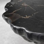 Clayhill Irregular Shape Coffee Table Petrified Wood Cocktail Table Unique Sofa Center Tea Table - Image 10
