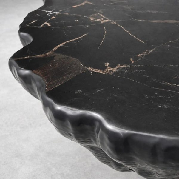 Clayhill Irregular Shape Coffee Table Petrified Wood Cocktail Table Unique Sofa Center Tea Table - Image 10