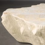 Clayhill Irregular Shape Coffee Table Petrified Wood Cocktail Table Unique Sofa Center Tea Table - Image 14
