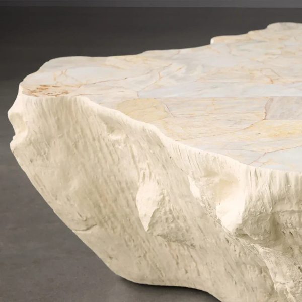 Clayhill Irregular Shape Coffee Table Petrified Wood Cocktail Table Unique Sofa Center Tea Table - Image 14