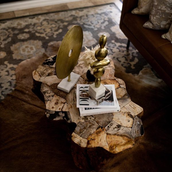 Clayhill Irregular Shape Coffee Table Petrified Wood Cocktail Table Unique Sofa Center Tea Table - Image 3